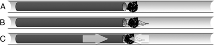 Fig 2.