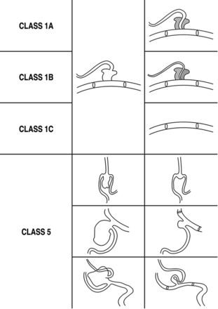Fig 1.