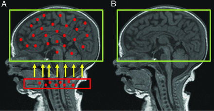 Fig 3.