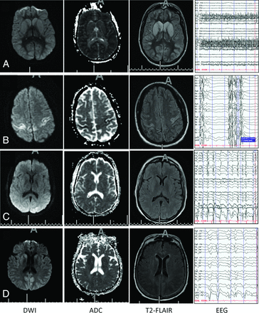 Fig 1.