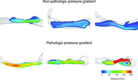 Fig 3.