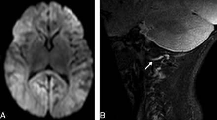 Fig 3.