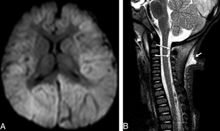 Fig 7.