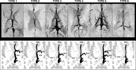 Fig 2.