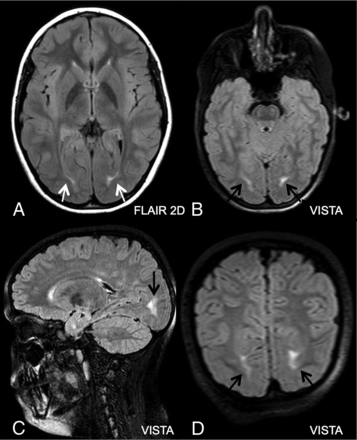 Fig 1.