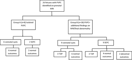 Fig 2.