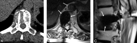 Fig 1.