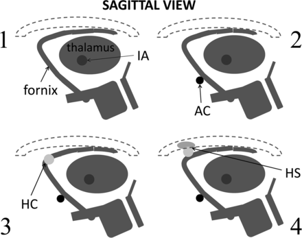 Fig 1.