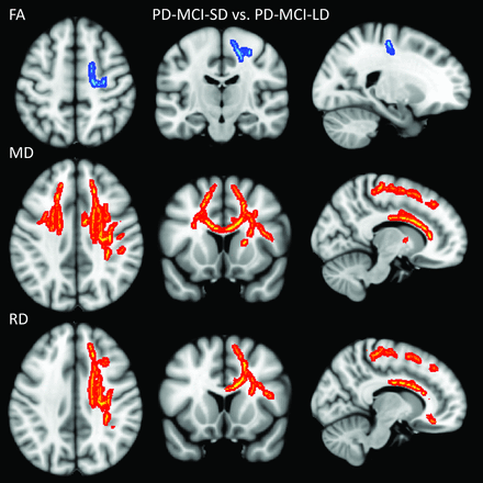 Fig 1.