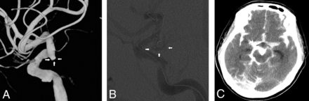 Fig 1.