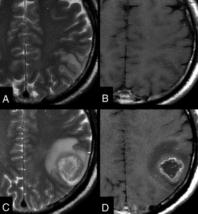 Fig 1.