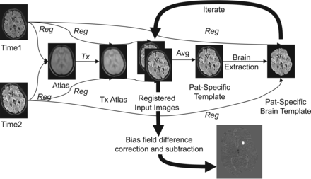 Fig 1.