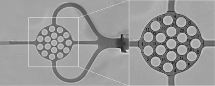 Fig 2.