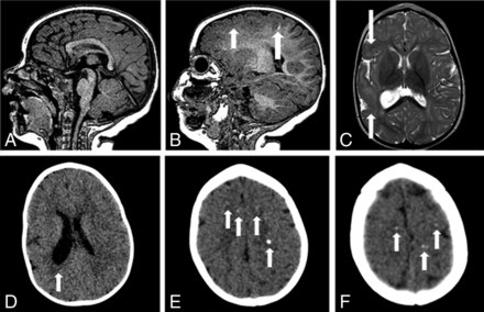 Fig 1.