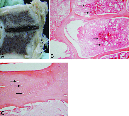 Fig 5.