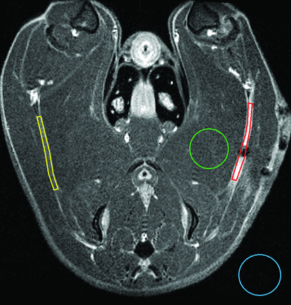 Fig 1.