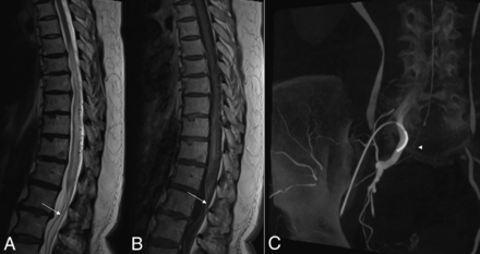 Fig 1.