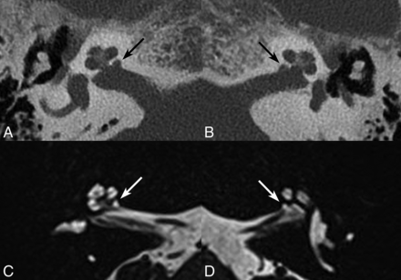 Fig 1.