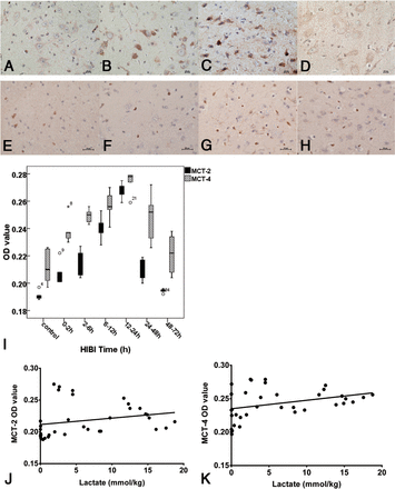 Fig 4.