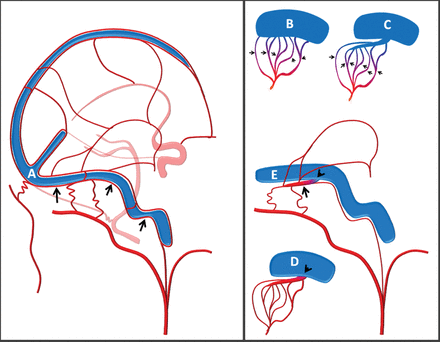 Fig 1.