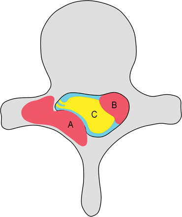 Fig 1.