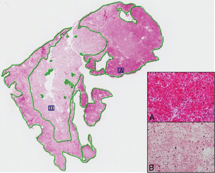 Fig 2.