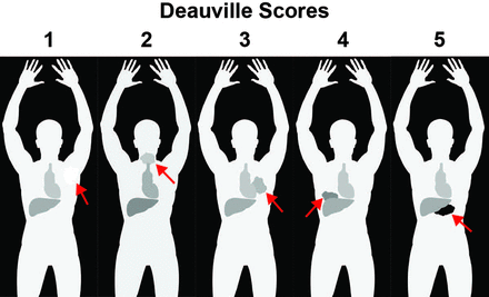 Fig 1.