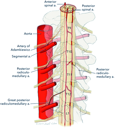 Fig 1.