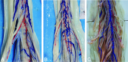 Fig 3.