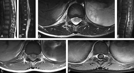 Fig 2.