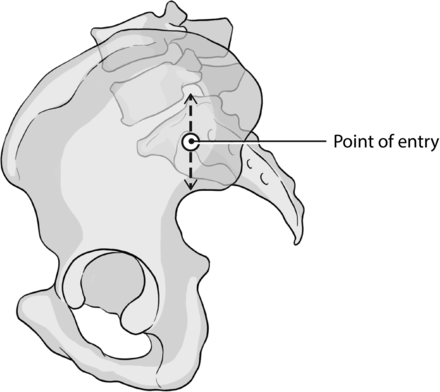 Fig 8.
