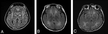 Fig 1.