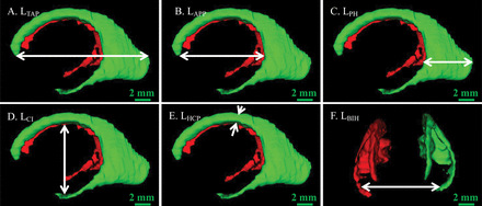 Fig 2.