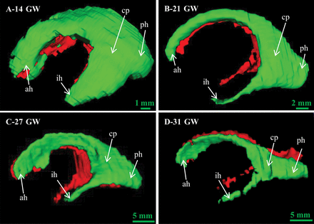 Fig 4.