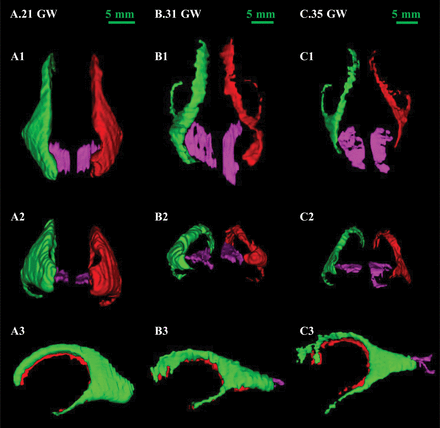Fig 8.