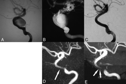 Fig 2.