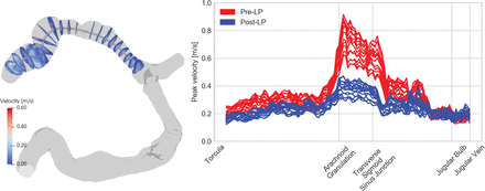 Fig 1.