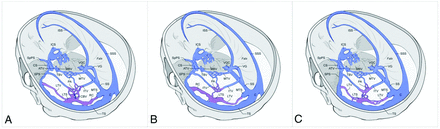 FIG 2.