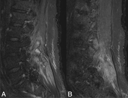 FIG 3.