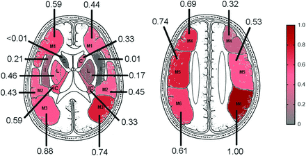 FIG 6.