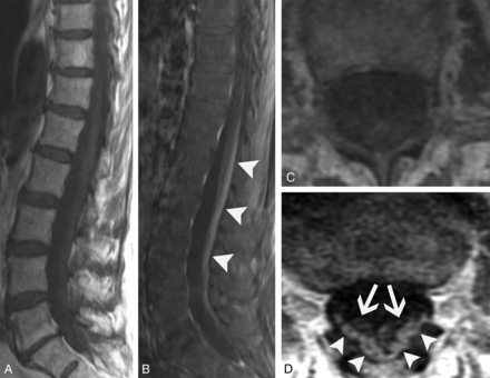 FIG 8.