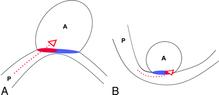 Fig 5.