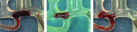Fig 2.