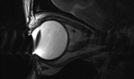 Fig 5.