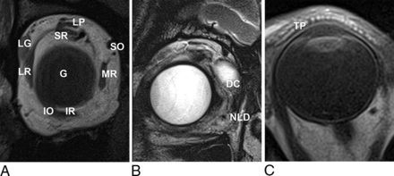 Fig 7.