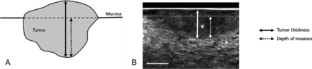 FIG 4.