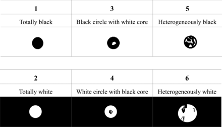 Fig 2.