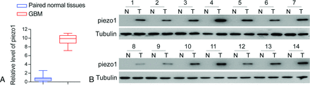 Fig 2.