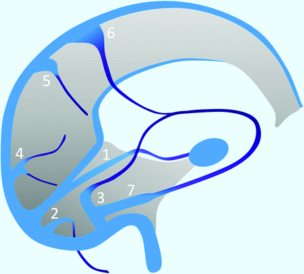 Fig 3.