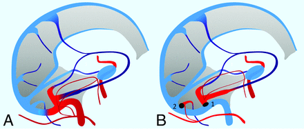 Fig 8.